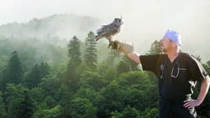 The Wild Life of Dr. Ole — foto 3