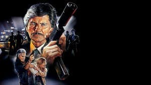 El vengador anónimo 4: El regreso del justiciero — foto 4