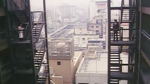 欲情させられた女 — foto 8