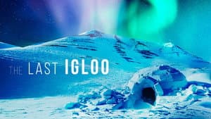 The Last Igloo — foto 1