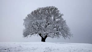 Invierno