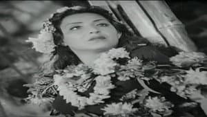 وادي النجوم — foto 1