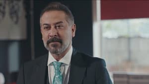 Episodio 22