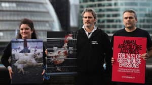 Joaquin Phoenix — Schauspieler der Extreme — foto 2