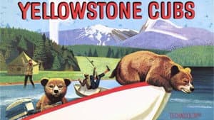 Los oseznos de Yellowstone — foto 2