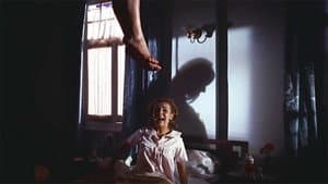 Hasta el viento tiene miedo — foto 5