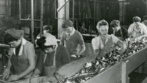 Working People: A History of Labour in British Columbia — foto 1