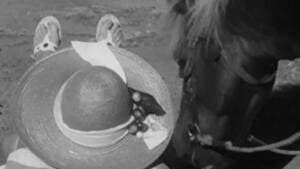Episodio 13