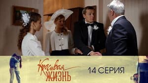 Episodio 14