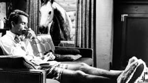 The Horse in the Gray Flannel Suit — foto 9