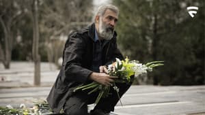 داریوش — foto 11