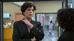 Episodio 14