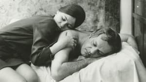 Szerelem — foto 1