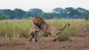 Return of the Predators — foto 6