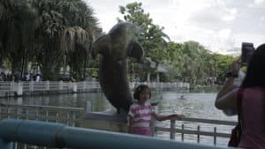 Prelude of the Moving Zoo — foto 5