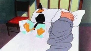 Daffy Duck Slept Here — foto 1