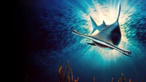 Shark Week 30 Años — foto 7