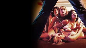 The Slumber Party Massacre — foto 3