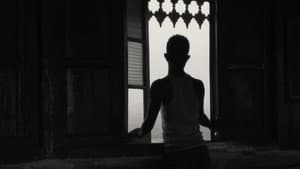 Faya Dayi — foto 5