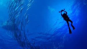 Sharks of Lost Island — foto 1
