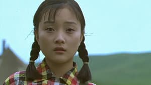 Xiu Xiu: The Sent-Down Girl — foto 3