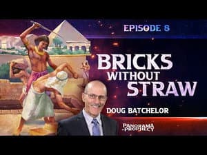 Episodio 8