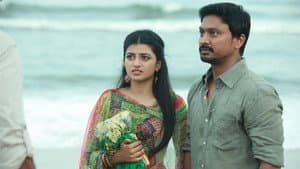பண்டிகை — foto 4