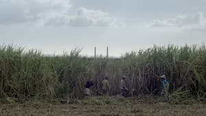 Nan Ginen — foto 1