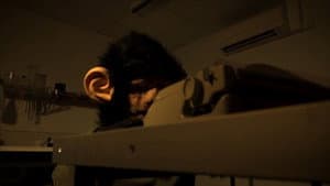 The Infinite Monkey Theorem — foto 1