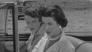Highway Dragnet — foto 6