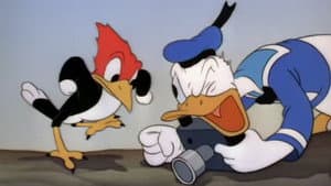 Donald's Camera — foto 1
