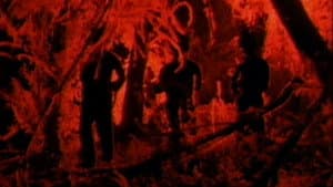 Night Wars — foto 2