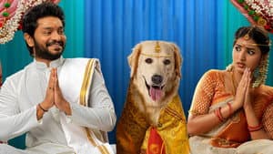 స్లమ్ డాగ్ హస్బెండ్ — foto 3