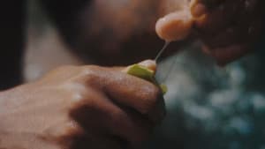 Watamula — foto 2