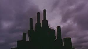 はがね — foto 2