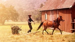 Justin Morgan Had a Horse — foto 3