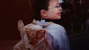 Little Boy Lost: An ID Mystery — foto 3