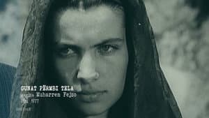 Gunat përmbi tela — foto 1