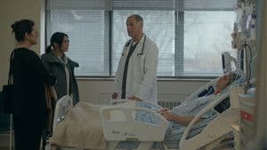 Episodio 11