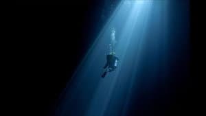Diving Into The Darkness — foto 1