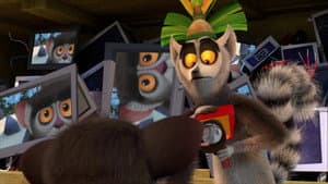 El Rey Julien te está observando