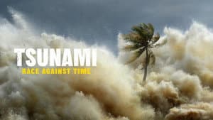 Tsunamis: Carrera contra el tiempo — foto 3