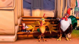 Un gallo con muchos huevos — foto 4