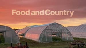 Food and Country — foto 5