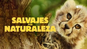 Salvajes por naturaleza — foto 1