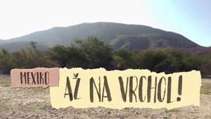 Episodio 8