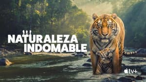 Naturaleza indomable — foto 4
