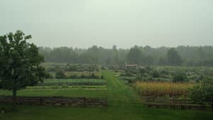 La ferme et son état — foto 2