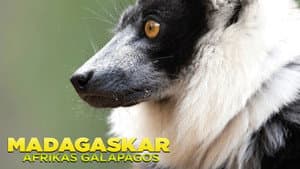 Madagascar: Africa's Galapagos — foto 3