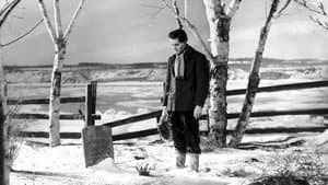 Young Mr. Lincoln — foto 1